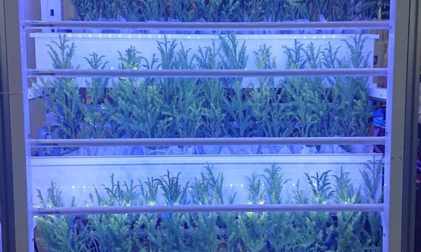 画像： 縦型水耕栽培ユニット『Da・Capo（ダ・カーポ）』1